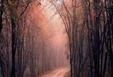 皇马vs巴萨的国家德比为何能成为足坛最受瞩目的对决？